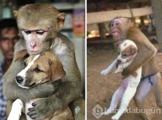 Günün en çok paylaşılan fotoğrafları