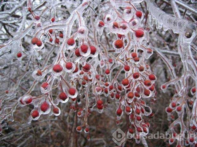 Günün en çok paylaşılan fotoğrafları