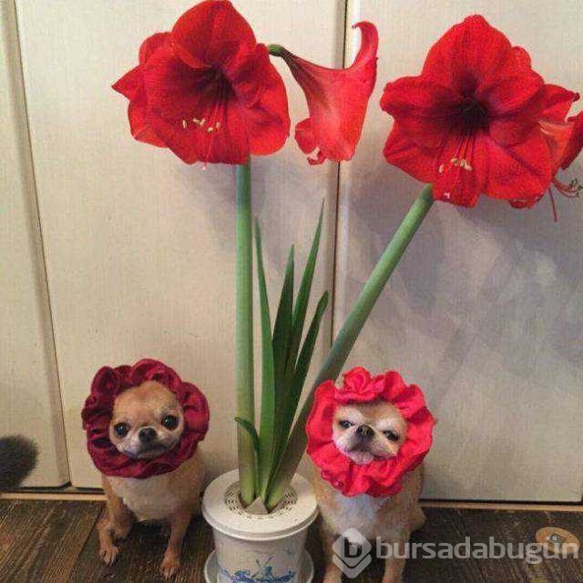 Günün en çok paylaşılan fotoğrafları