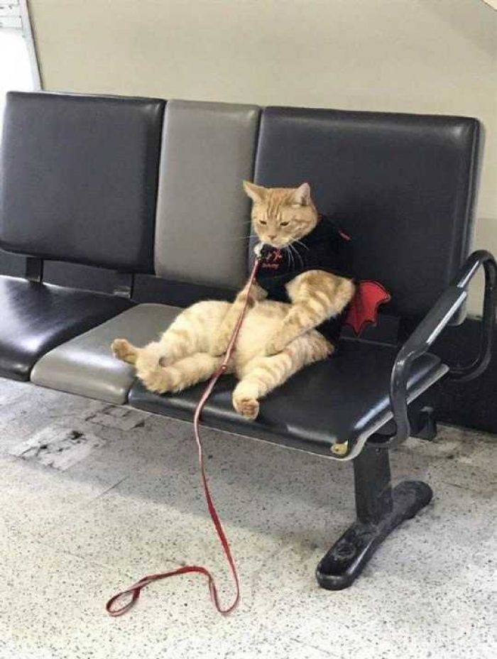 Günün en çok paylaşılan fotoğrafları