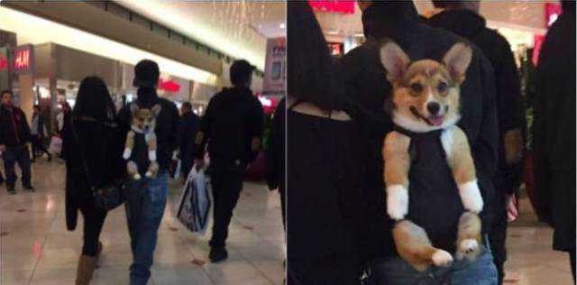Günün en çok paylaşılan fotoğrafları