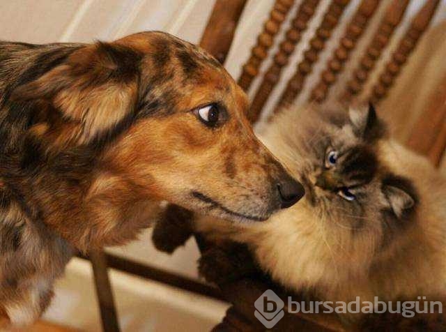 Günün en çok paylaşılan fotoğrafları