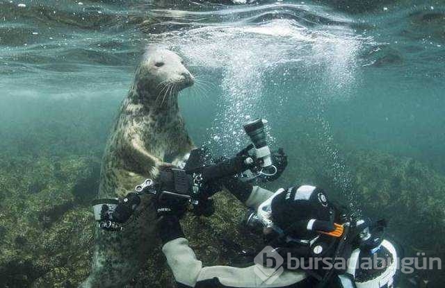 Günün en çok paylaşılan fotoğrafları