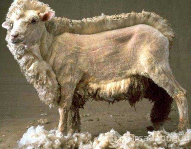 Günün en çok paylaşılan fotoğrafları