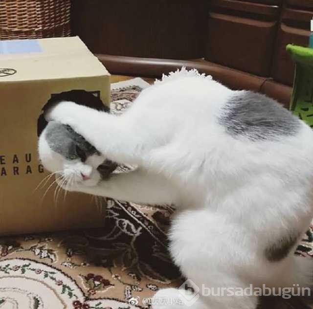 Günün en çok paylaşılan fotoğrafları