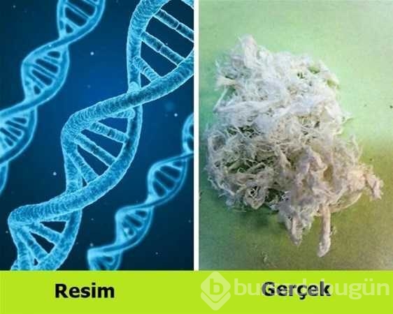 Hayatınızı kolaylaştıracak pratik bilgiler
