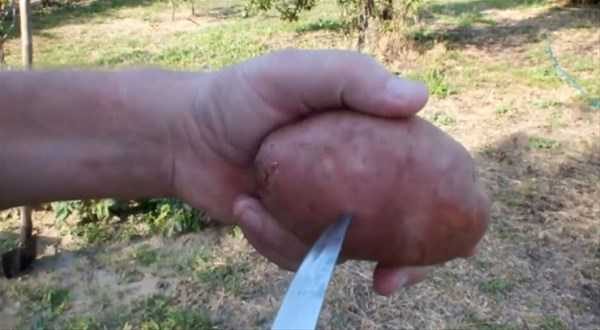 Hayatınızı kolaylaştıracak pratik bilgiler
