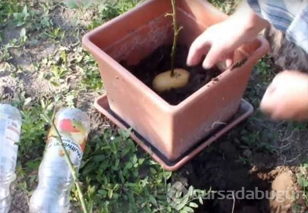 Hayatınızı kolaylaştıracak pratik bilgiler
