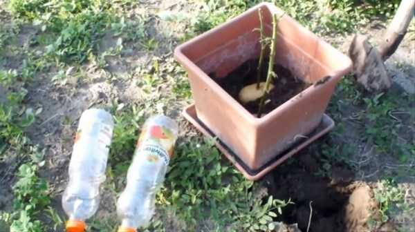 Hayatınızı kolaylaştıracak pratik bilgiler
