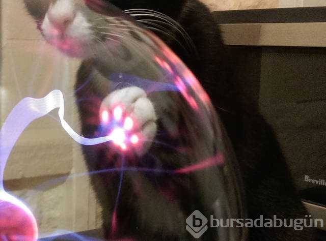 Günün en çok paylaşılan fotoğrafları