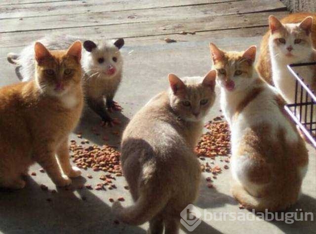 Günün en çok paylaşılan fotoğrafları