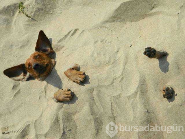 Günün en çok paylaşılan fotoğrafları