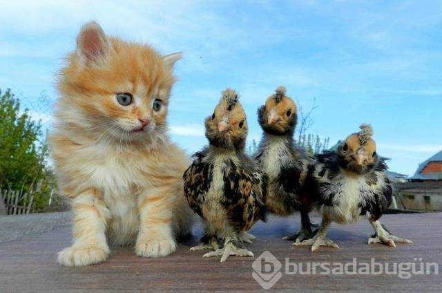 Günün en çok paylaşılan fotoğrafları