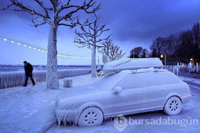Günün en çok paylaşılan fotoğrafları