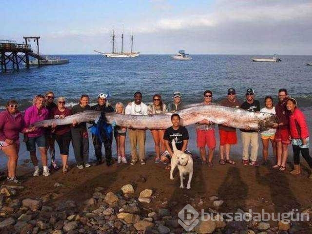 Günün en çok paylaşılan fotoğrafları