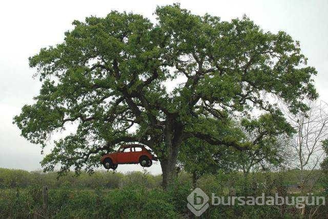 Günün en çok paylaşılan fotoğrafları