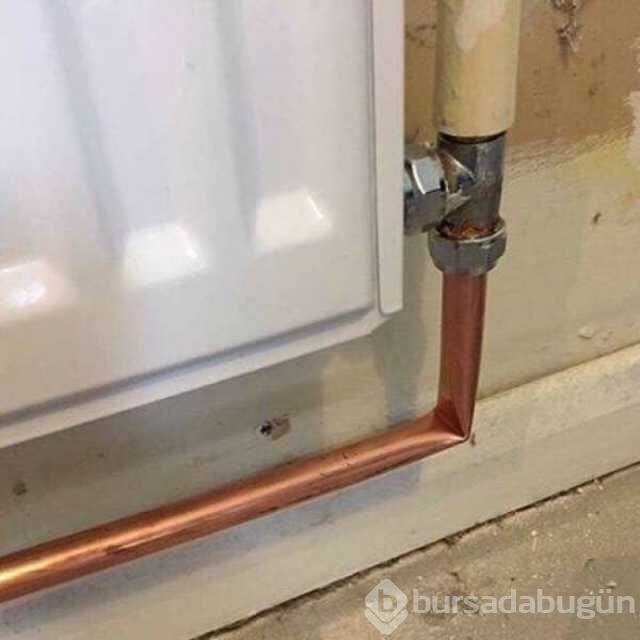 Günün en çok paylaşılan fotoğrafları