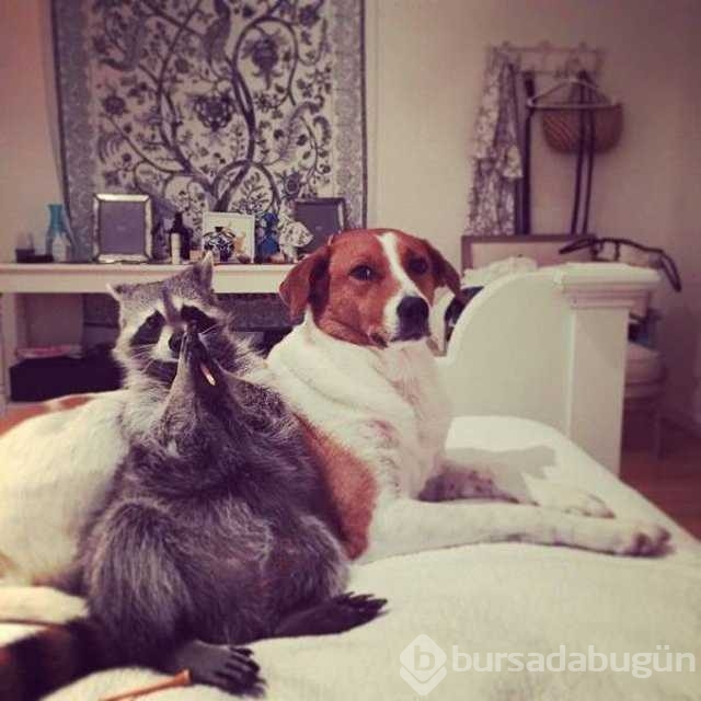 Günün en çok paylaşılan fotoğrafları