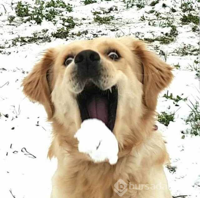 Günün en çok paylaşılan fotoğrafları