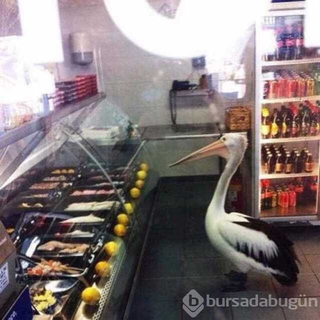 Günün en çok paylaşılan fotoğrafları