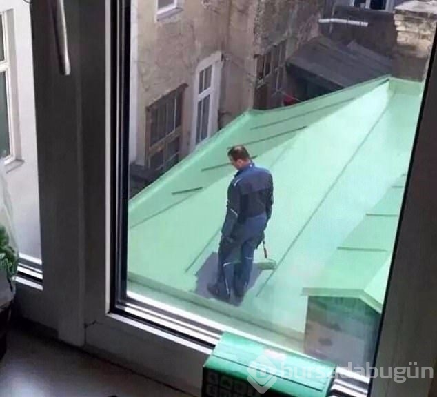 Kötü bir gün geçirdiyseniz bu fotoğraflara bakın