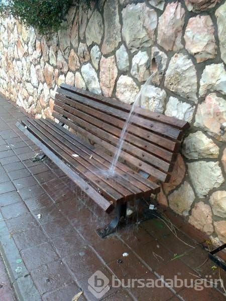 Sosyal medyadan kareler!