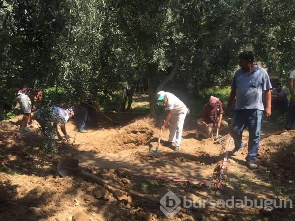 Bursa'da 'lahit tarlası' için 1 milyon 94 bin lira değer!