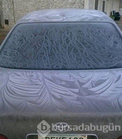 Buz tutan araçlar
