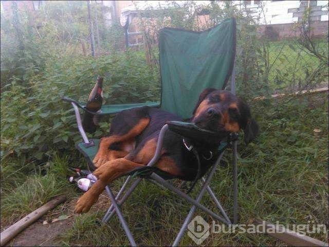 Günün en çok paylaşılan fotoğrafları