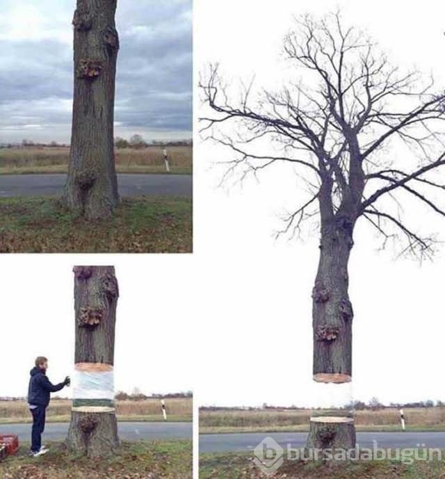 Günün en çok paylaşılan fotoğrafları