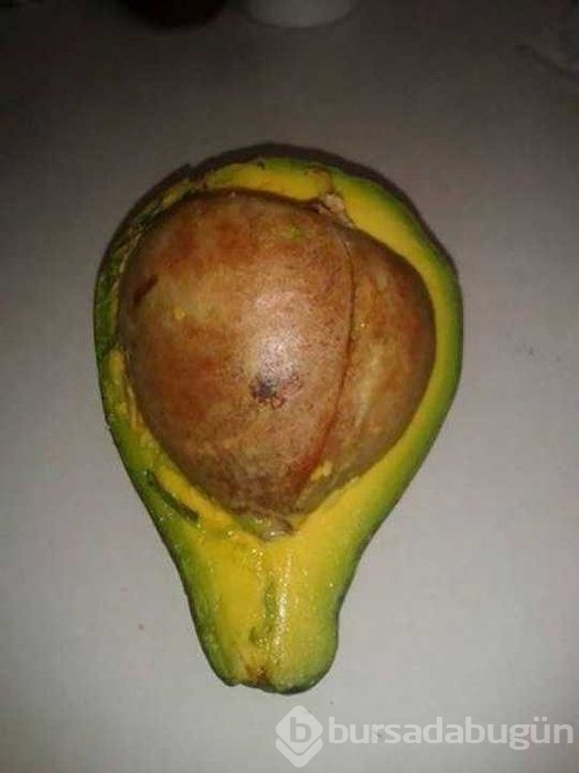 Günün en çok paylaşılan fotoğrafları