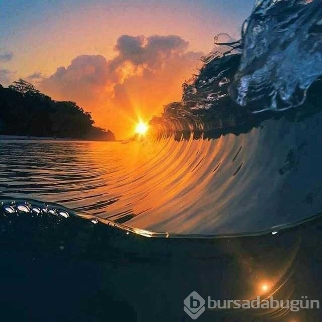 Günün en çok paylaşılan fotoğrafları