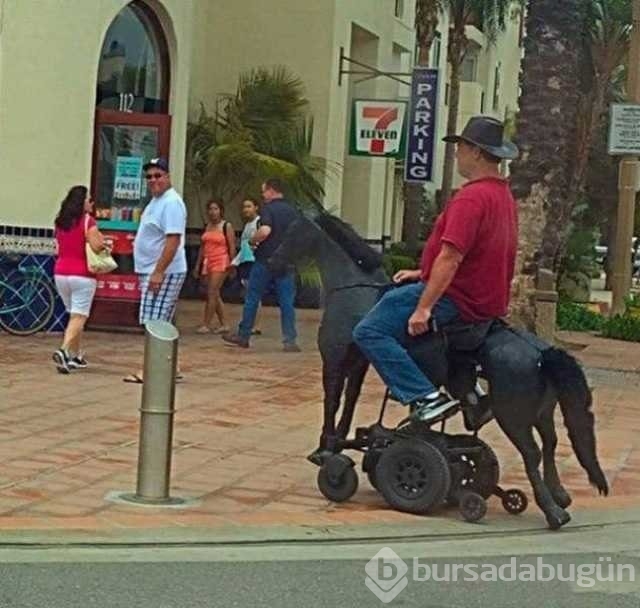 Günün en çok paylaşılan fotoğrafları