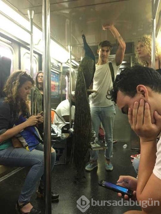 Günün en çok paylaşılan fotoğrafları