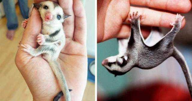 Günün en çok paylaşılan fotoğrafları