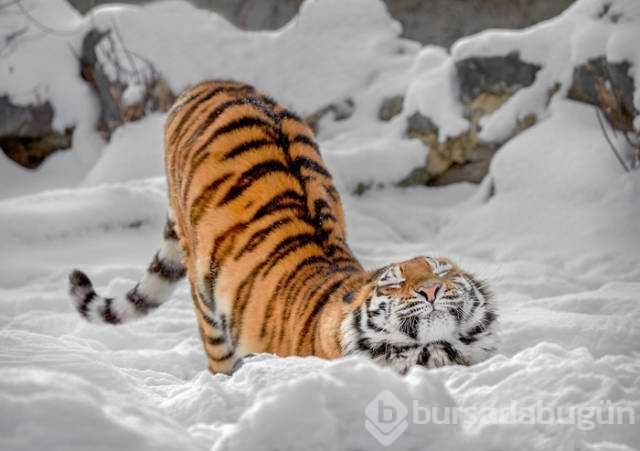 Günün en çok paylaşılan fotoğrafları