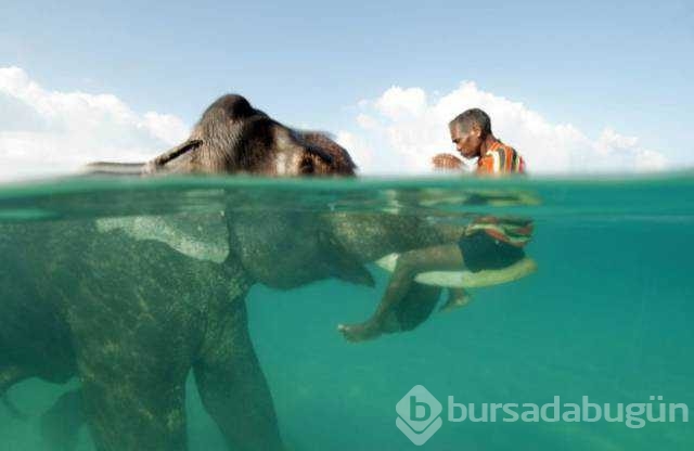 Günün en çok paylaşılan fotoğrafları