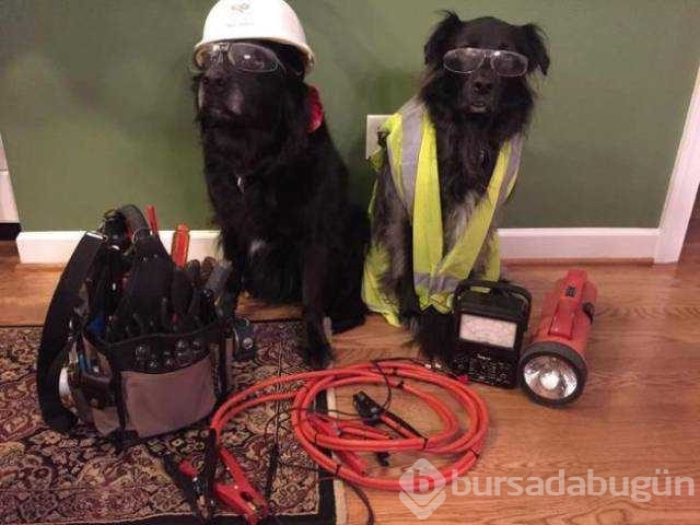 Günün en çok paylaşılan fotoğrafları
