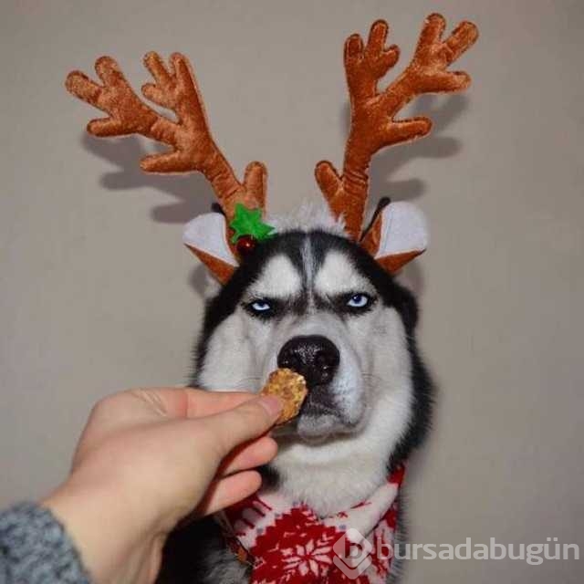 Günün en çok paylaşılan fotoğrafları