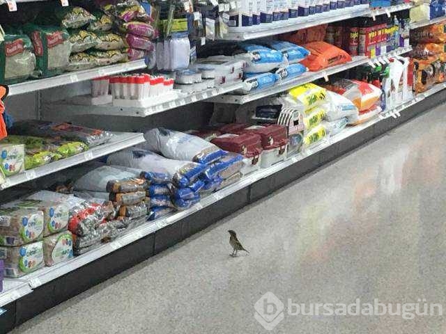 Günün en çok paylaşılan fotoğrafları