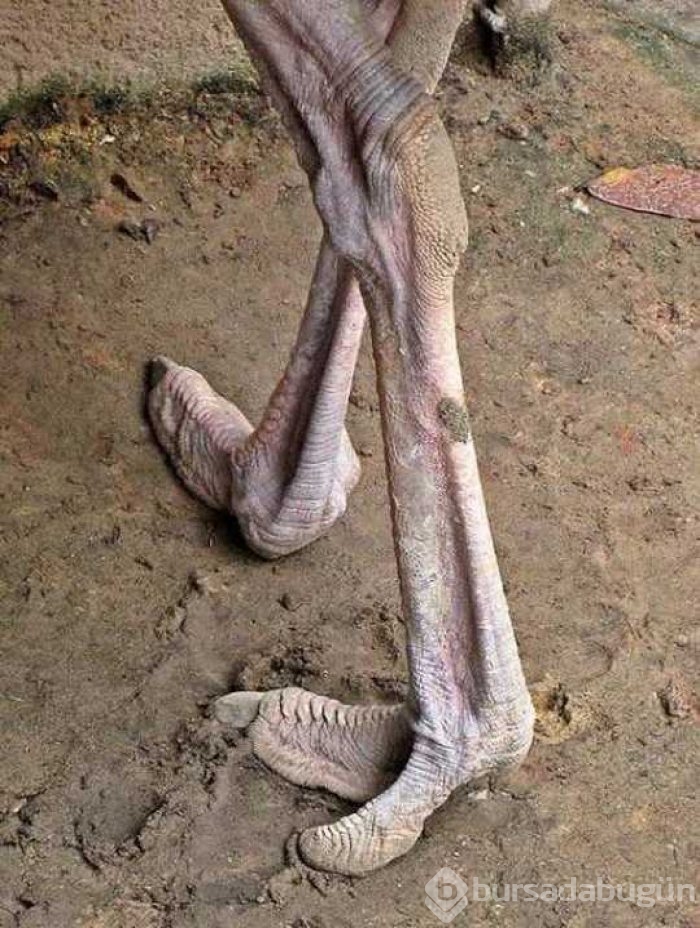 Günün en çok paylaşılan fotoğrafları