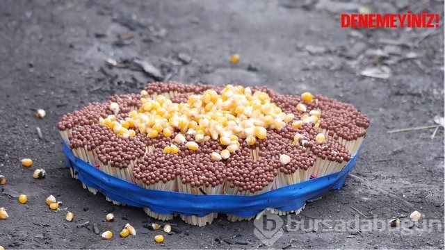 Kibrit çöpleri üzerinde tehlikeli hareketler!