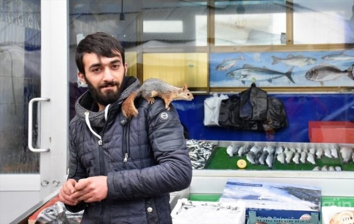 Balıkçı ile sincapların dostluğu
