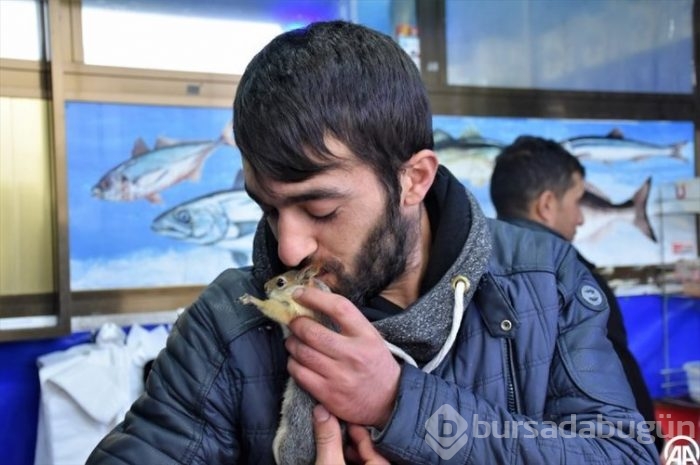 Balıkçı ile sincapların dostluğu