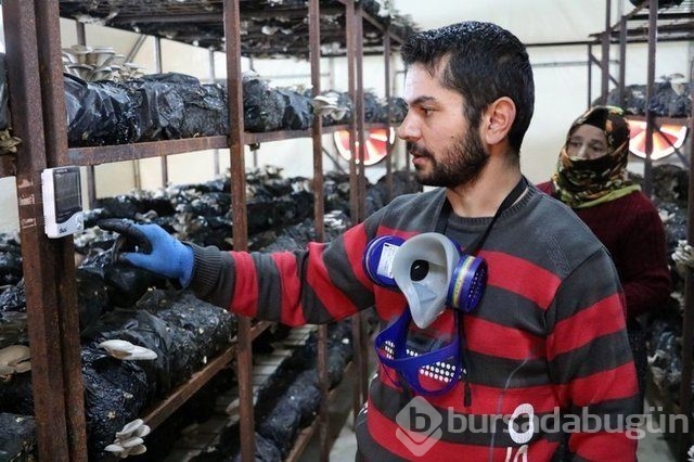 Memurluğu bıraktı patron oldu