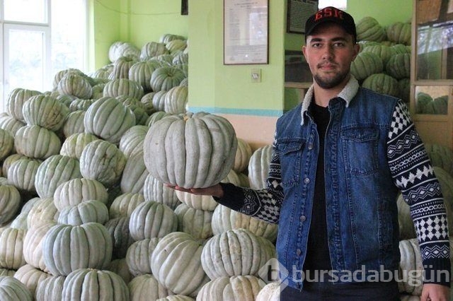 Memurluğu bıraktı patron oldu