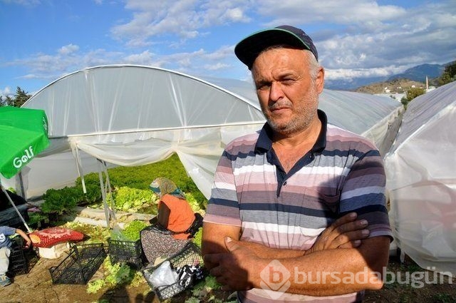 Memurluğu bıraktı patron oldu