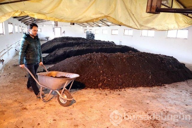 Memurluğu bıraktı patron oldu