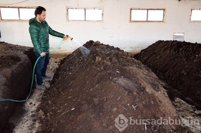 Memurluğu bıraktı patron oldu
