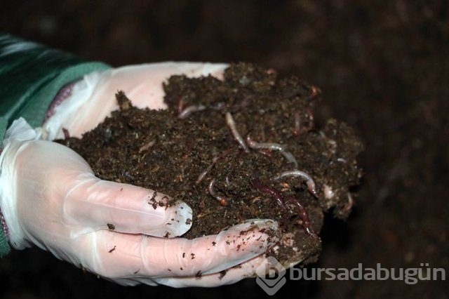 Memurluğu bıraktı patron oldu